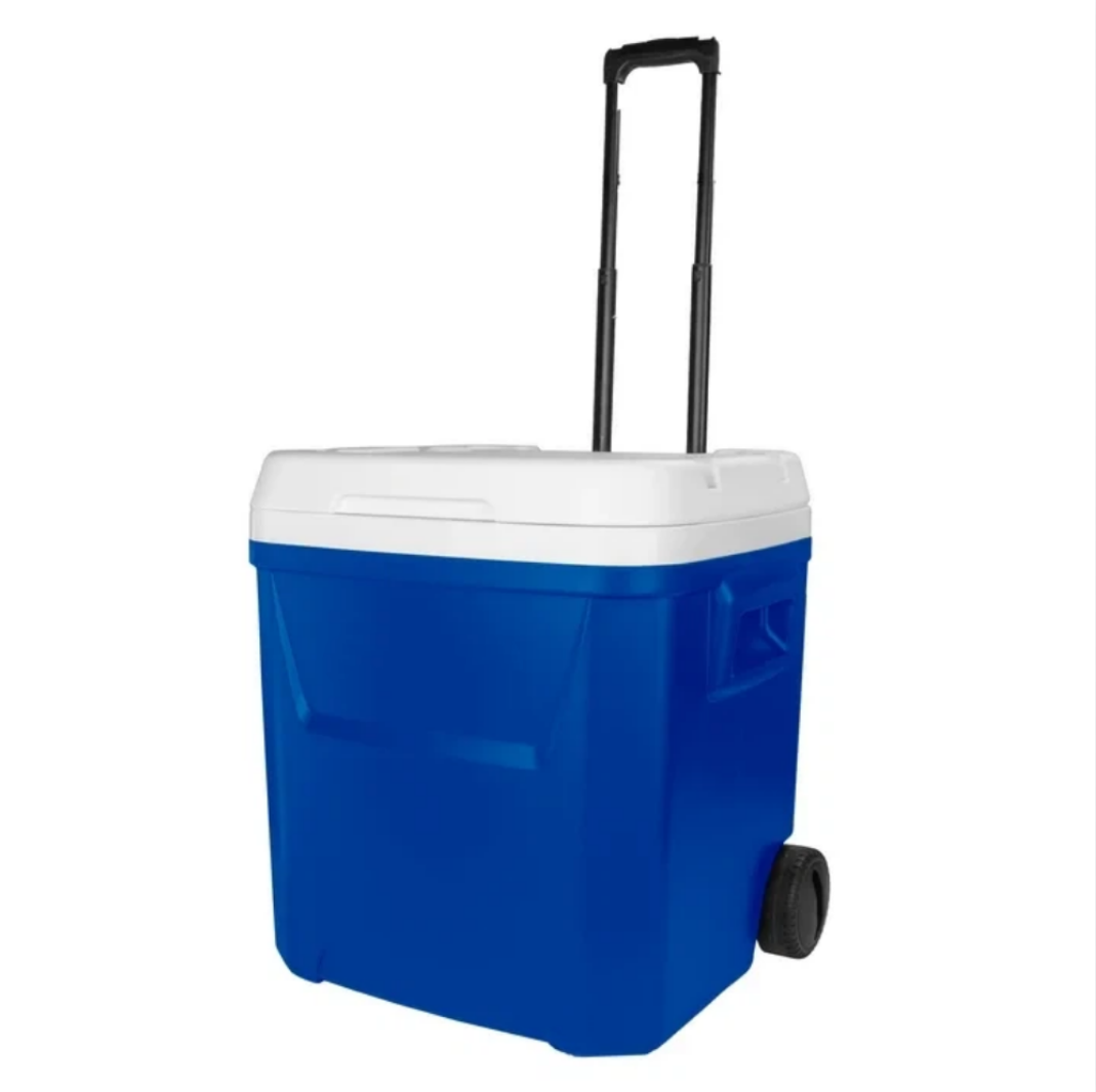 กล่องเก็บความเย็นแบบแข็ง 60 คว - Food Storage Camping บทวิจารณ์และราคา